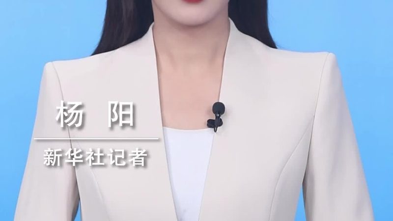 数据可视化：让复杂数据一目了然的魔法